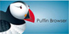 Puffin Web